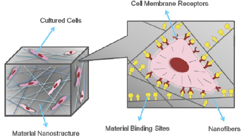 biomaterials